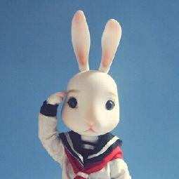 娱乐吃瓜直播间兔子,揭秘娱乐圈幕后吃瓜大揭秘  第2张